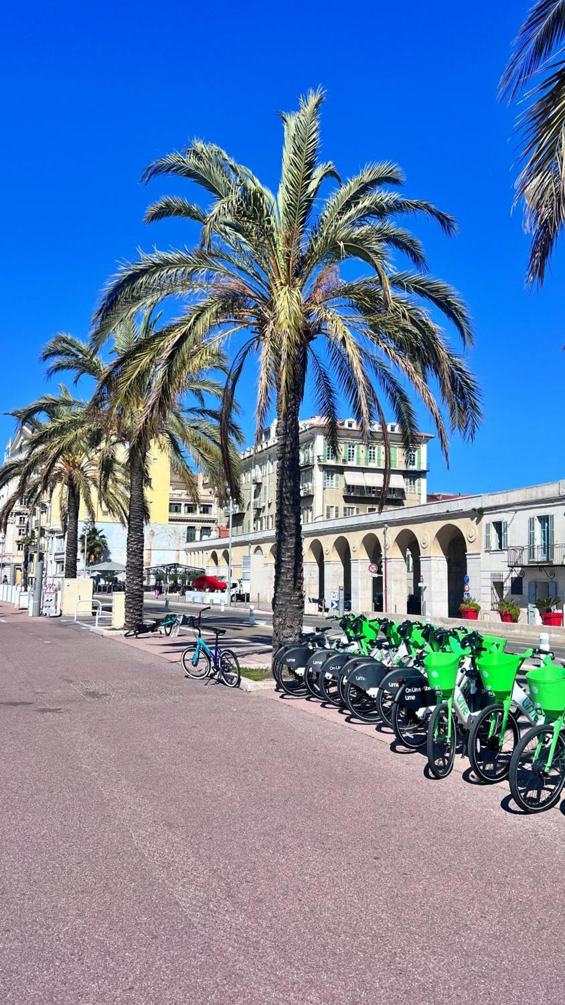 L'Azur Plaisance Leilighet Nice Eksteriør bilde